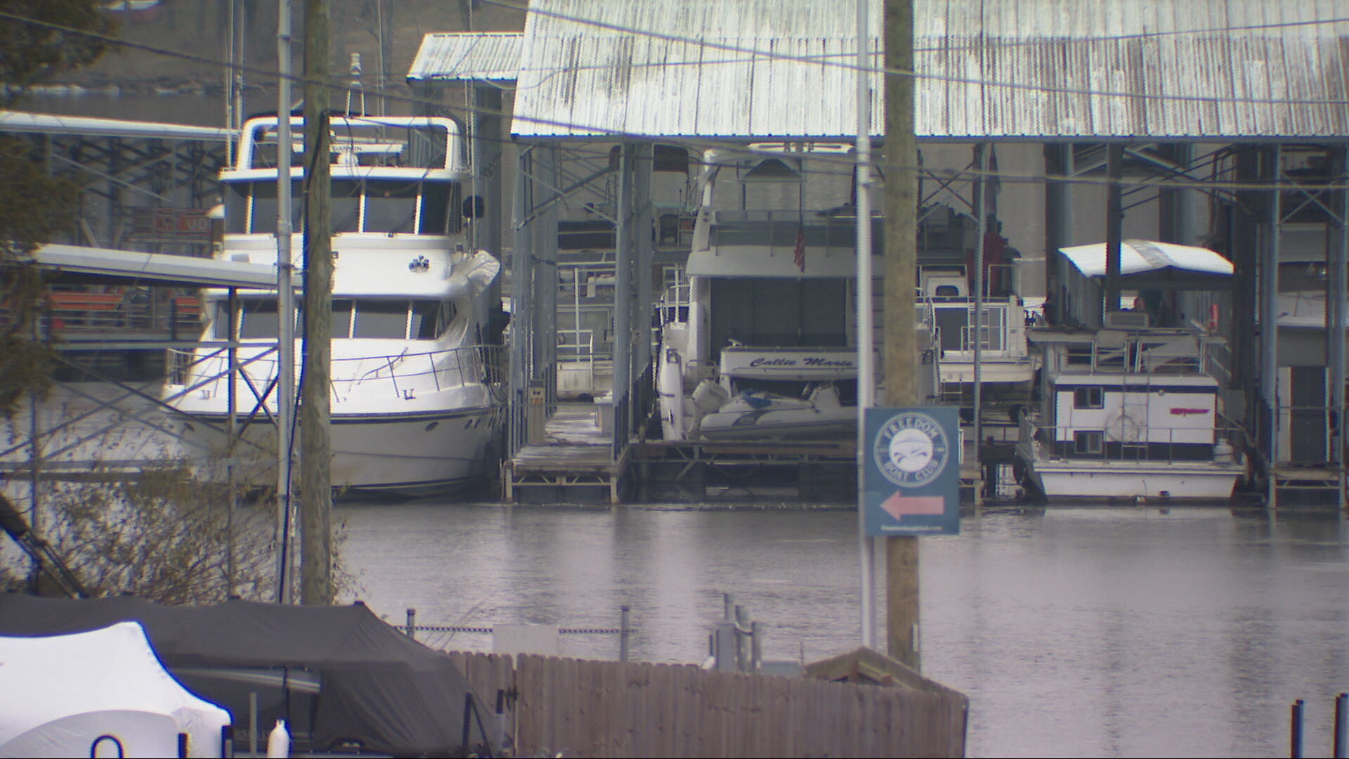 Mt Juliet marina shooting