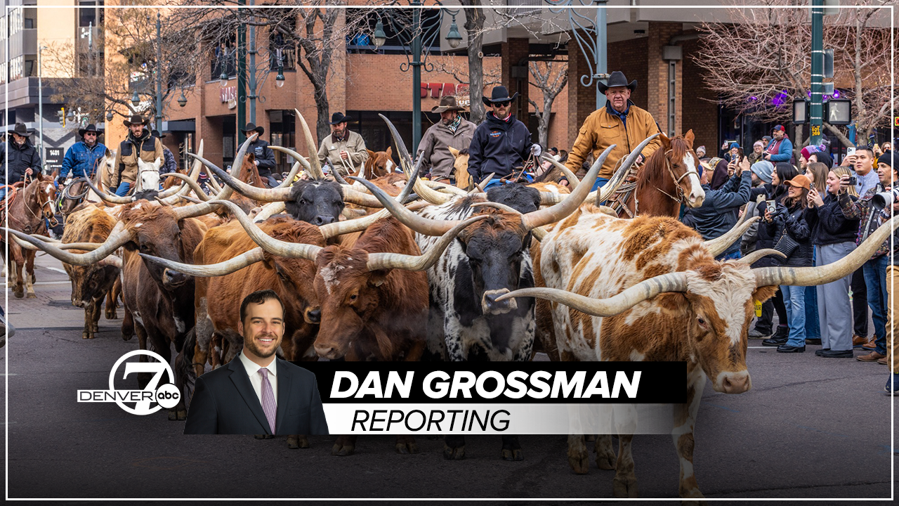 nwss dan grossman economic impact.png
