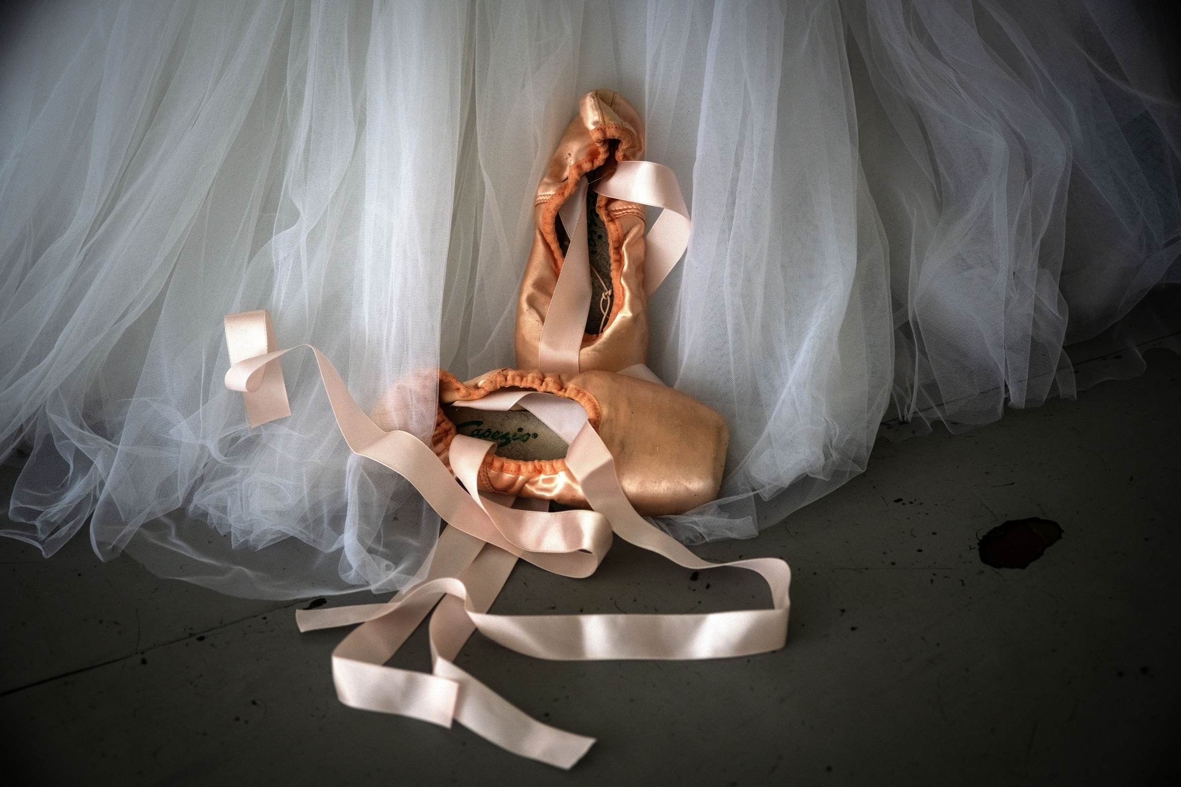 Ballet Shoes