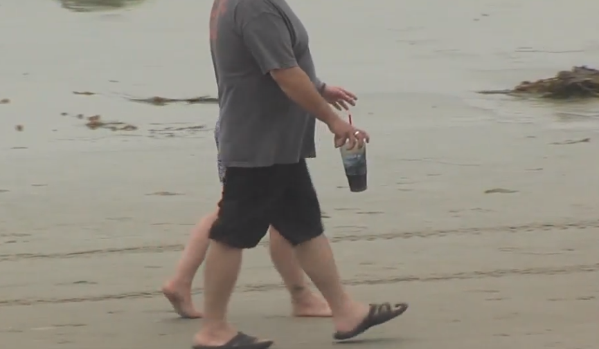UCSD MIcro Plastic Study.png