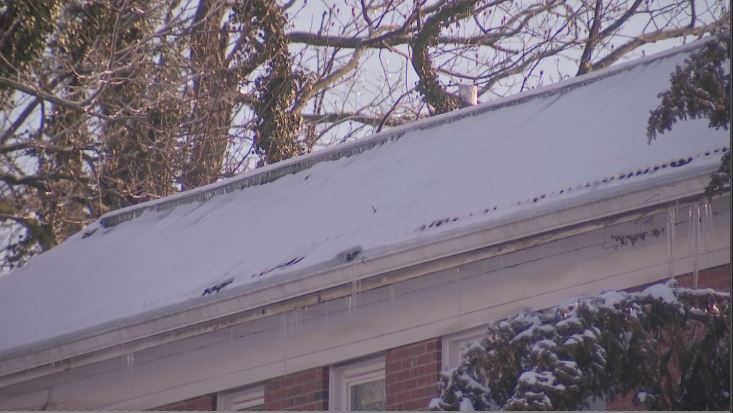 roof.JPG