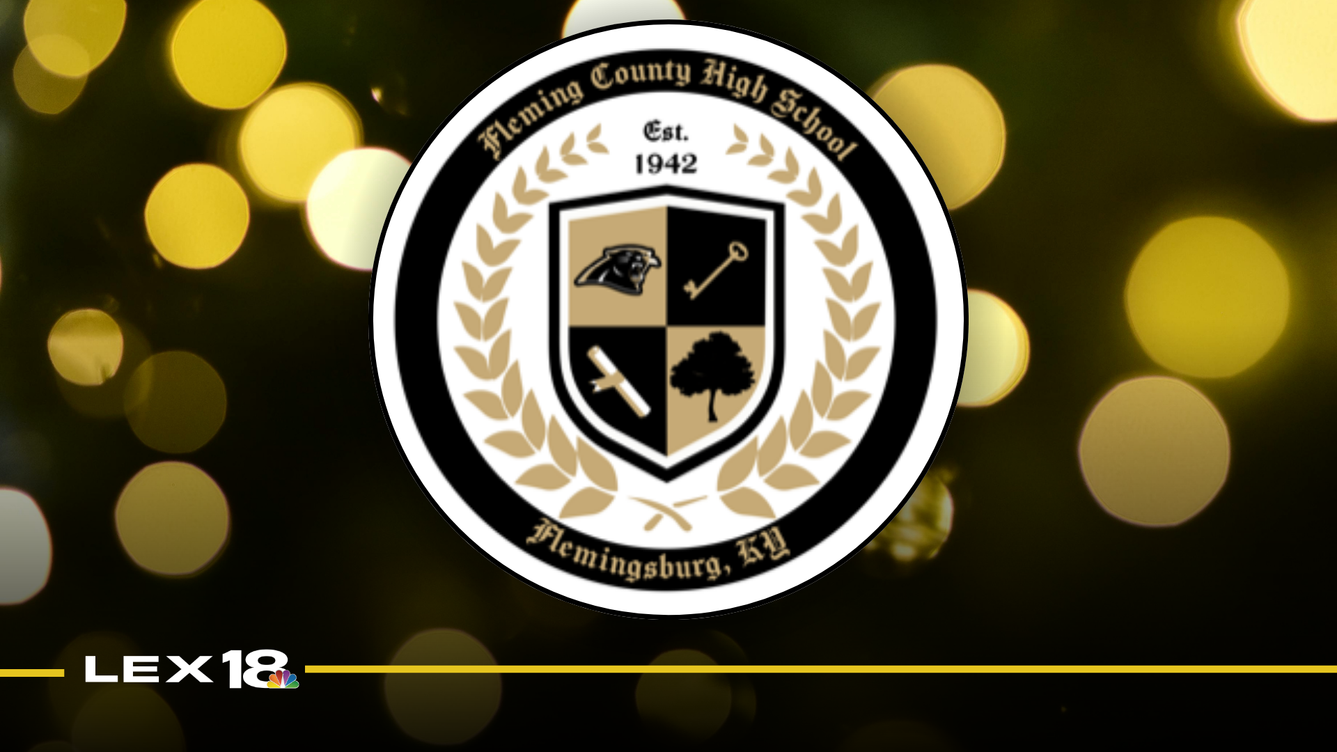 Fleming County High School logo