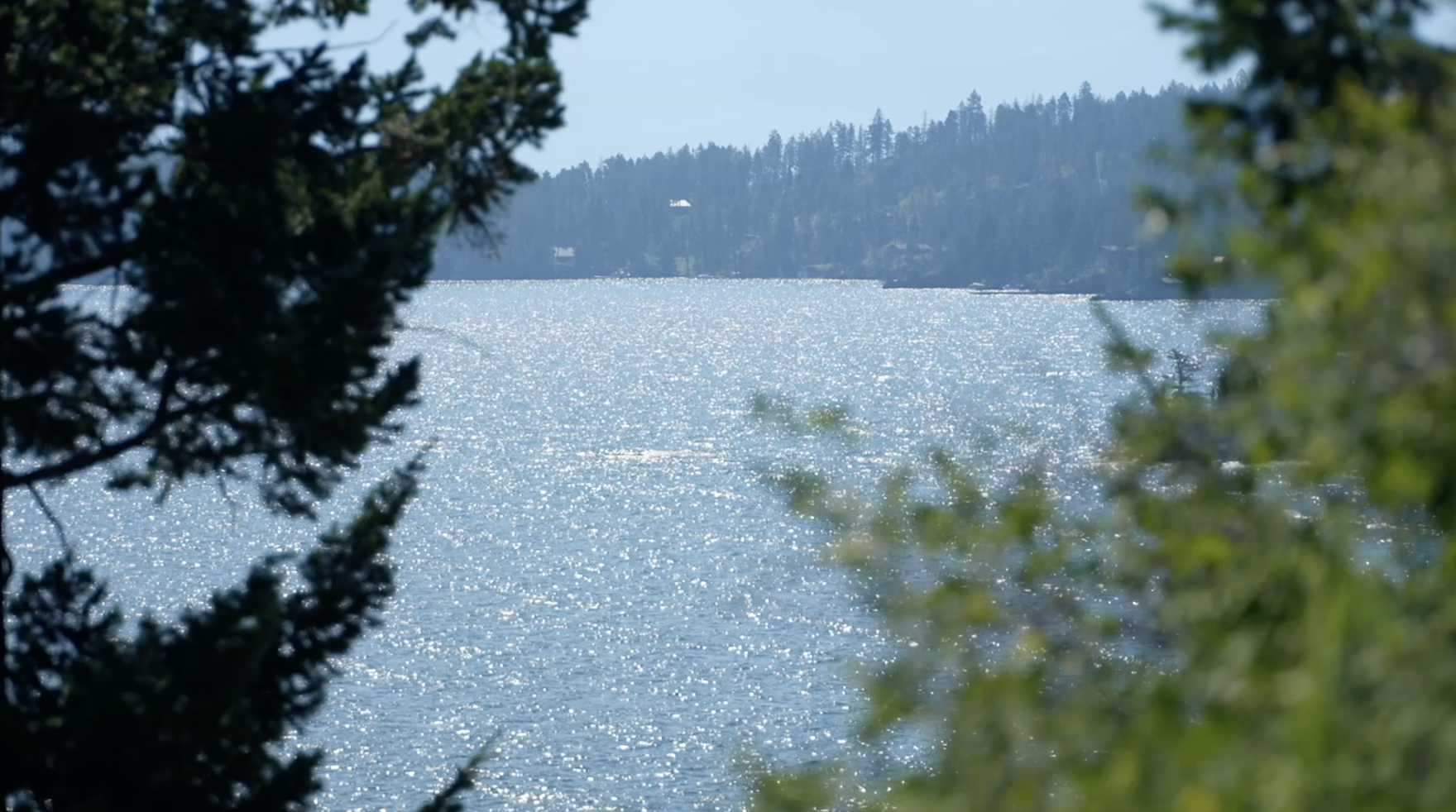 Flathead Lake Missing Boater