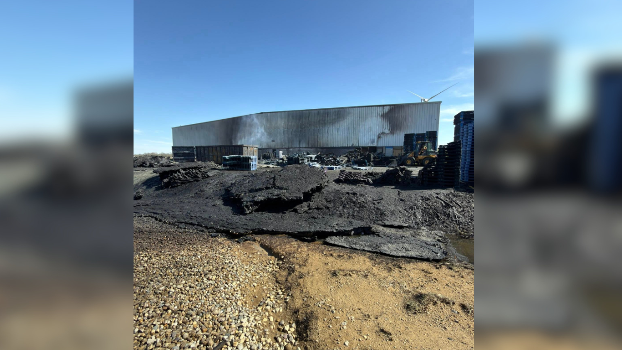 Basic graphic (2).png