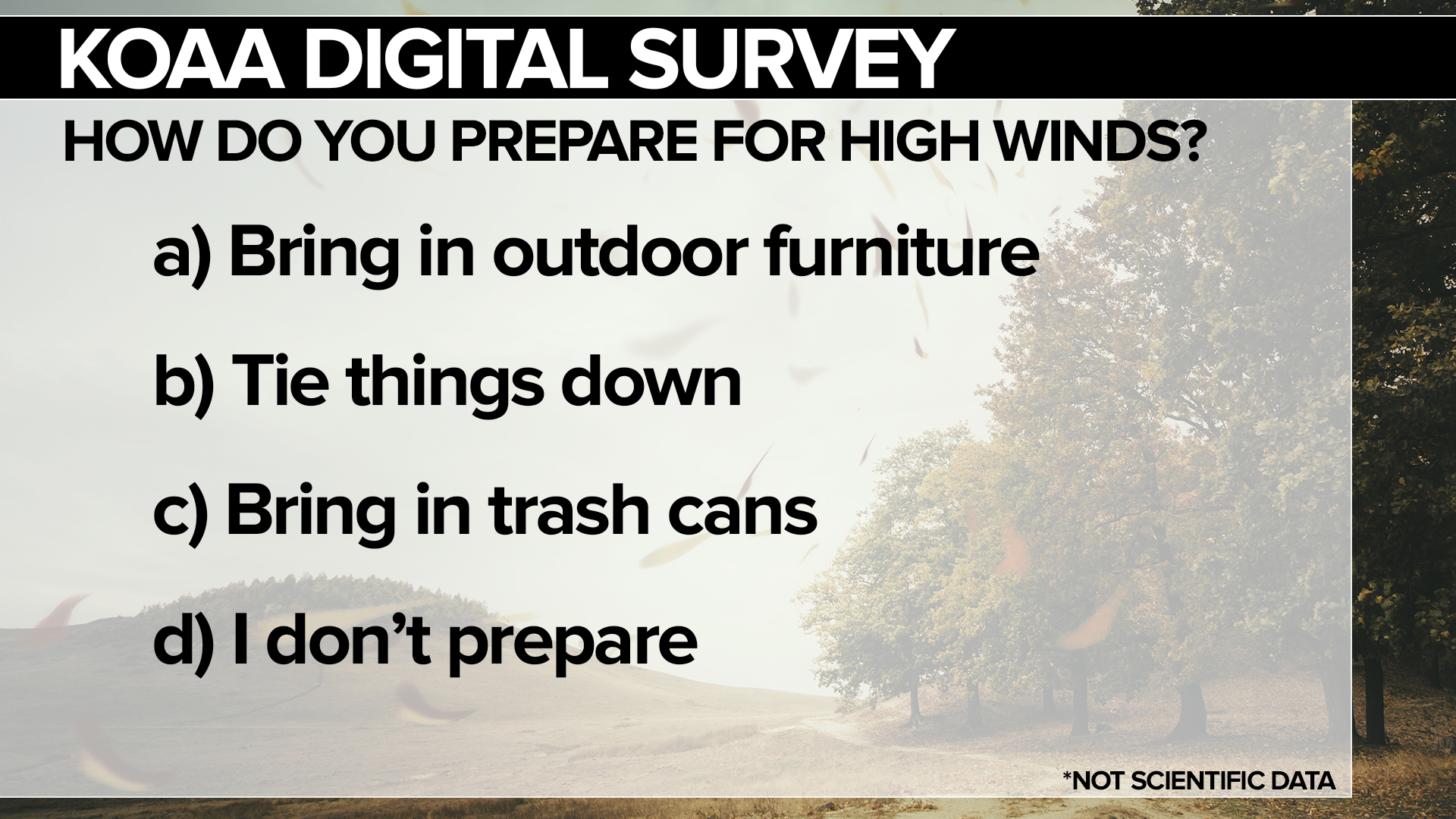 SURVEY Wind.jpg