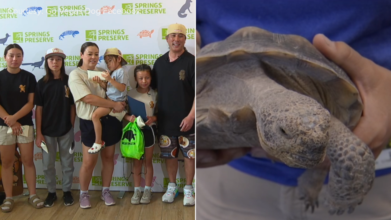 Family named winners of countywide Mojave Max Emergency Contest