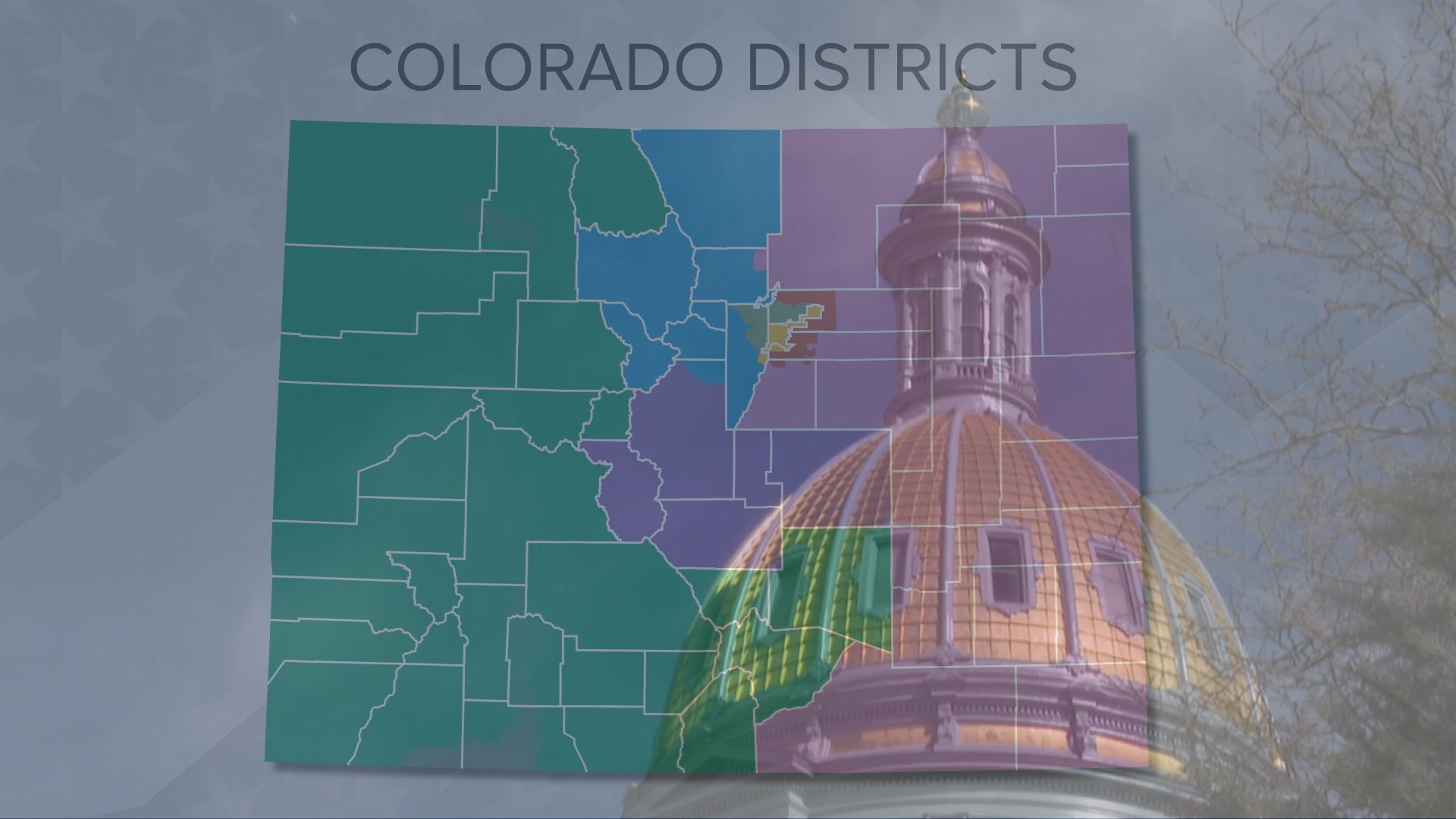 districting.jpg