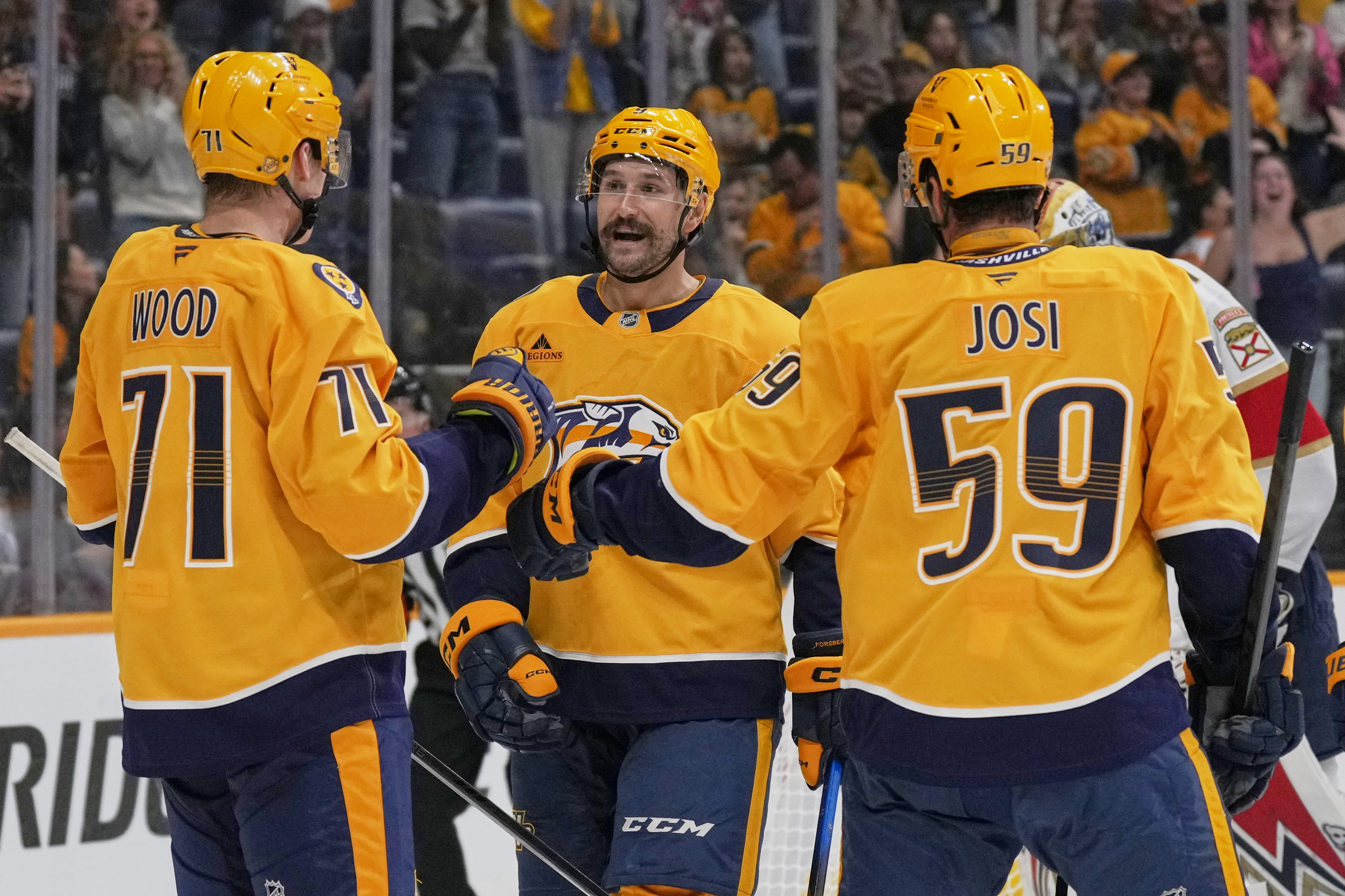 Panthers Predators Hockey