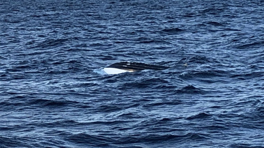 WPTV-BAHAMAS-BOAT.jpg