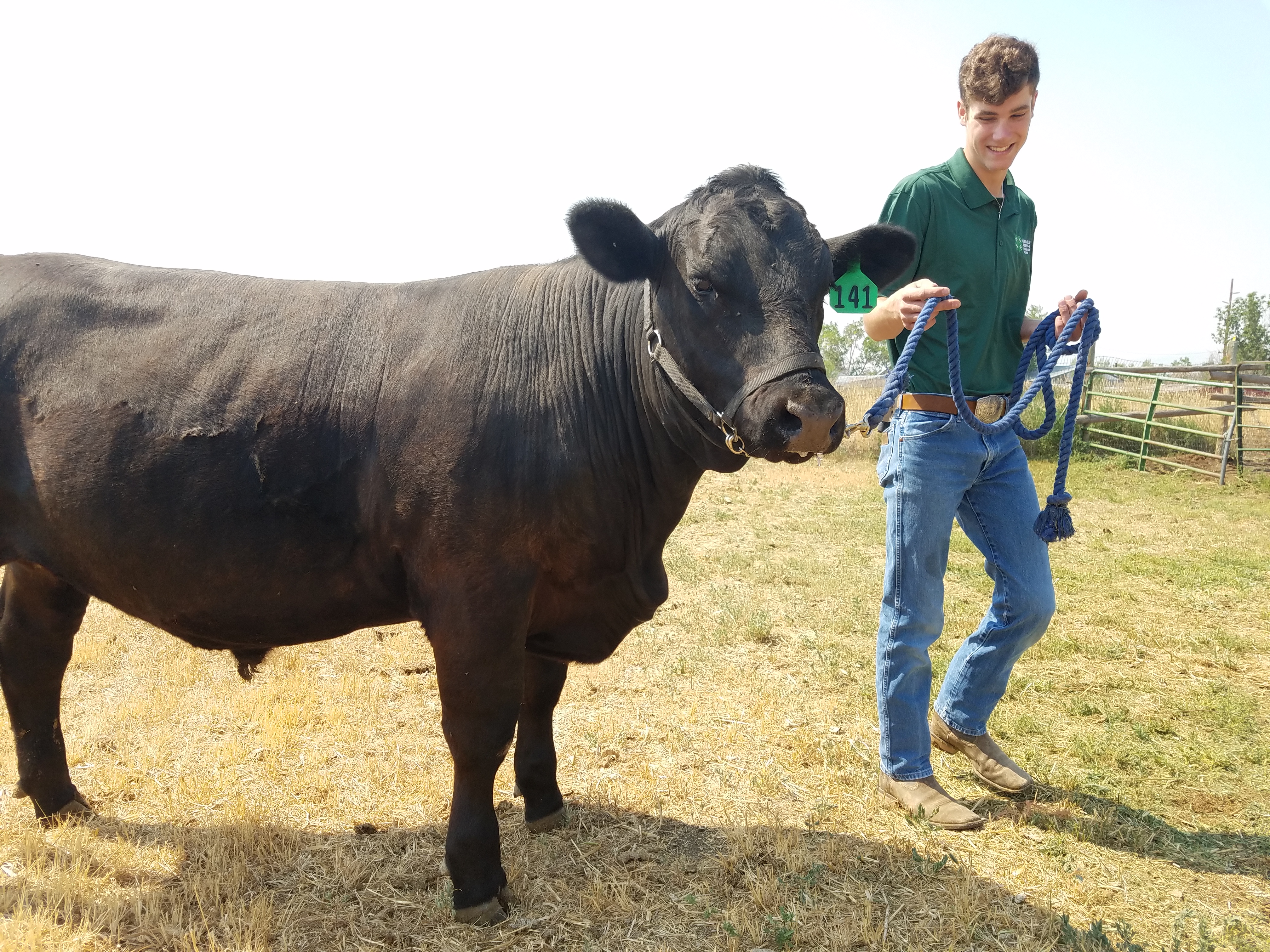 Ashton McGaugh and his steer