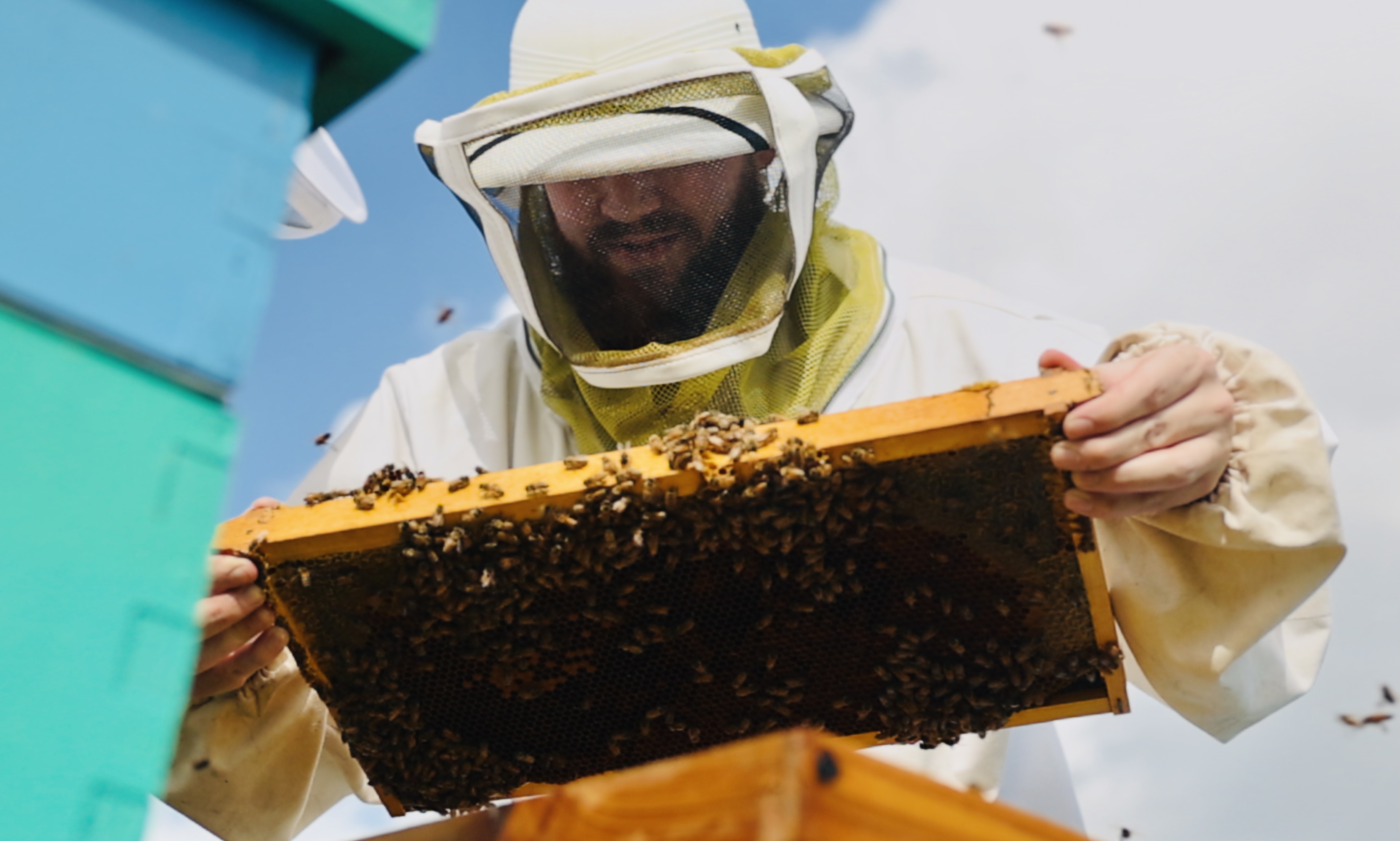 Spencer Evans, a lawyer turned part-time beekeeper.