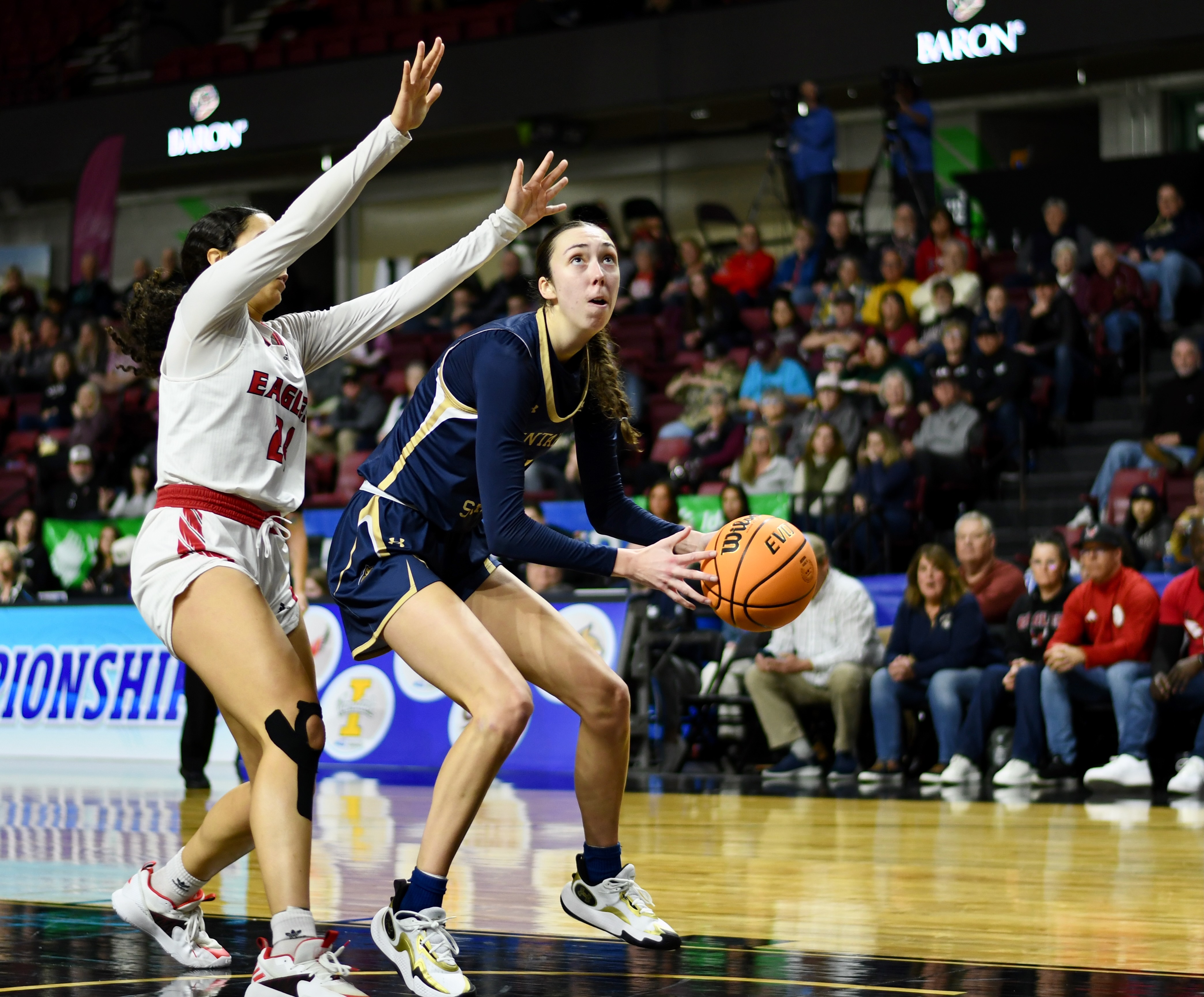 Montana State women's basketball