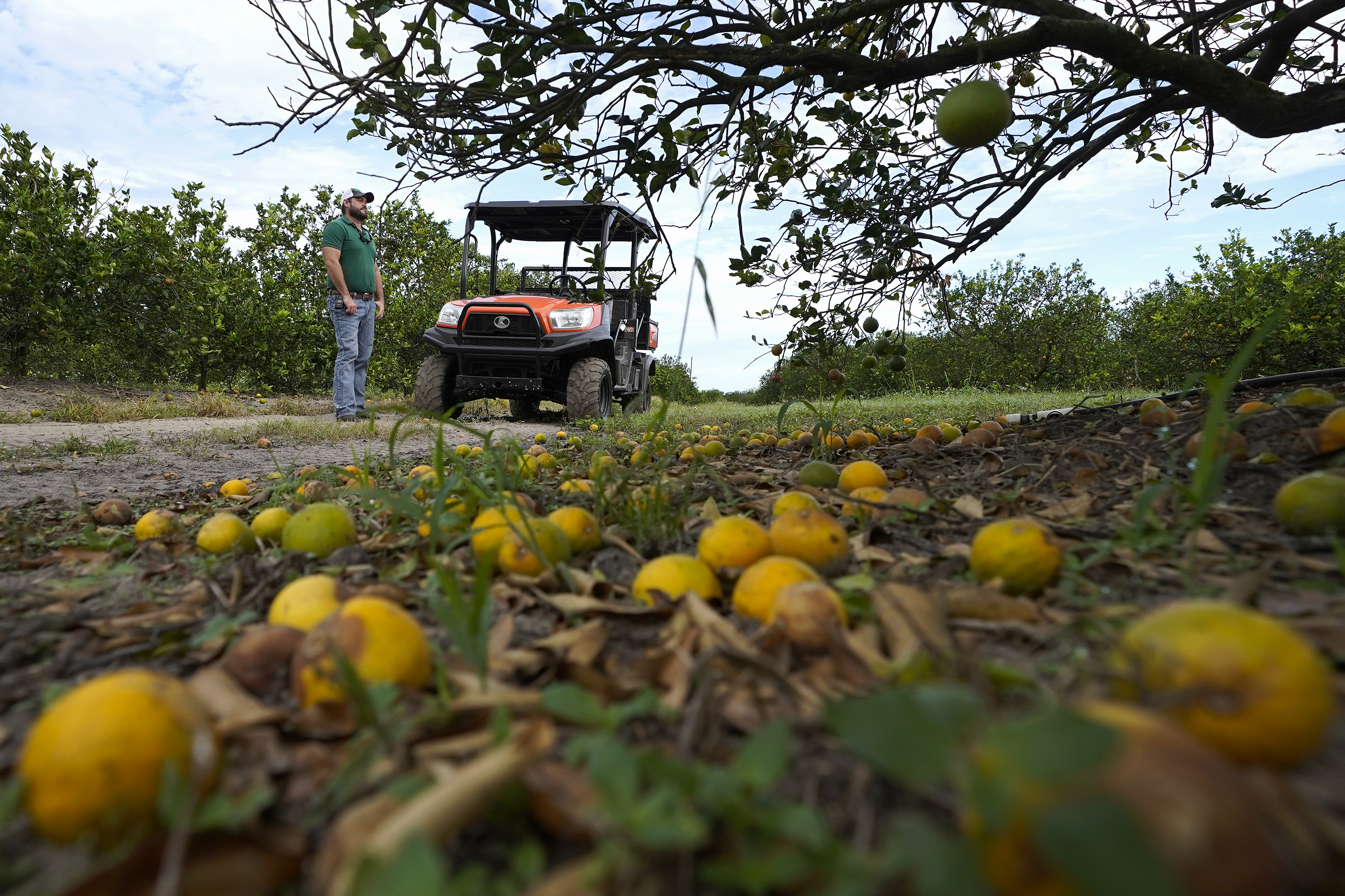 US Florida Citrus Problems
