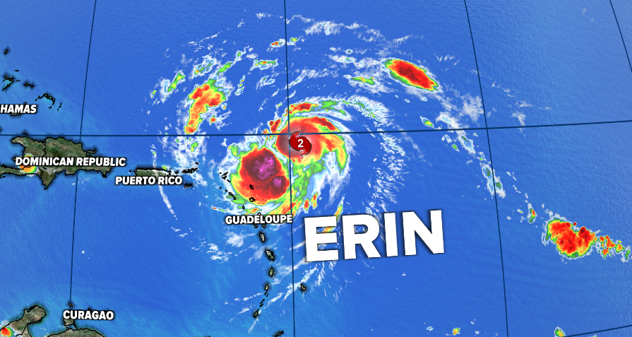 erin.PNG