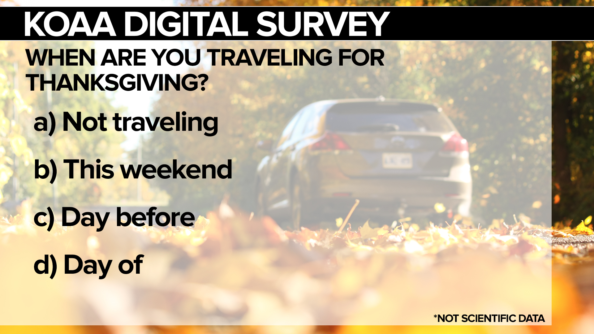 SURVEY Thanks Travel.jpg