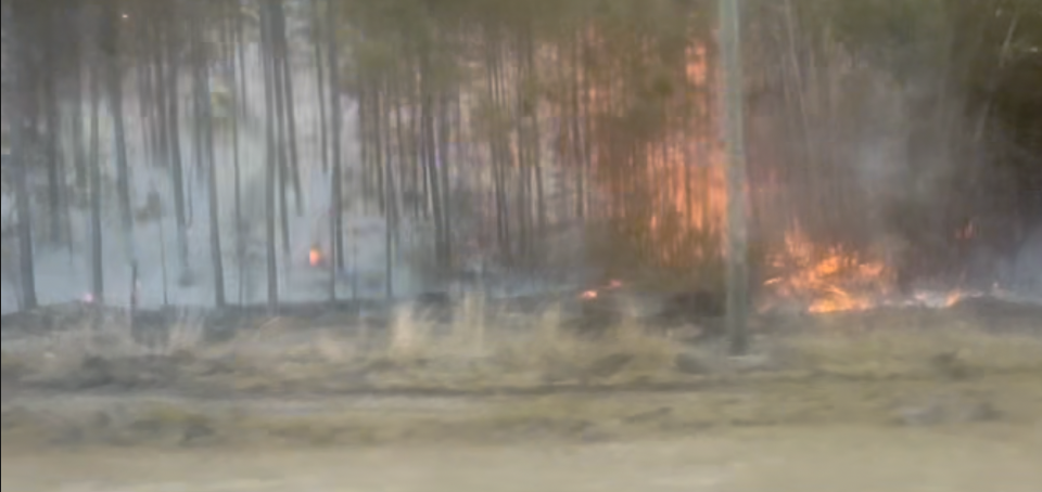 KEMP WILDFIRES 1