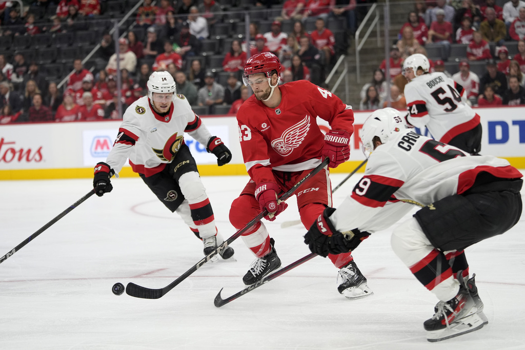 Senators Red Wings Hockey