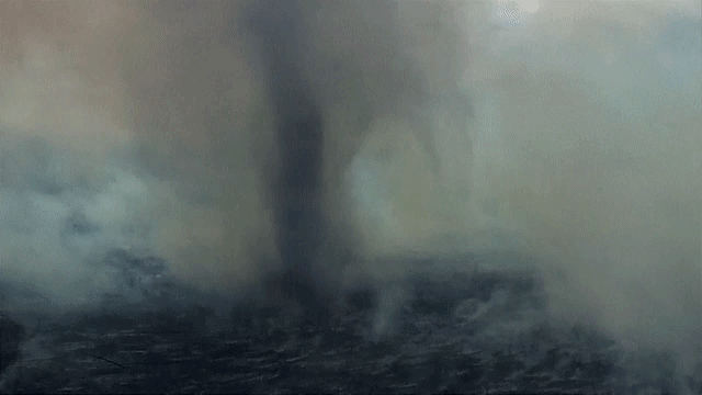 A rare "firenado" was caught on camera in Volusia County, Florida, on Sept. 28, 2026.