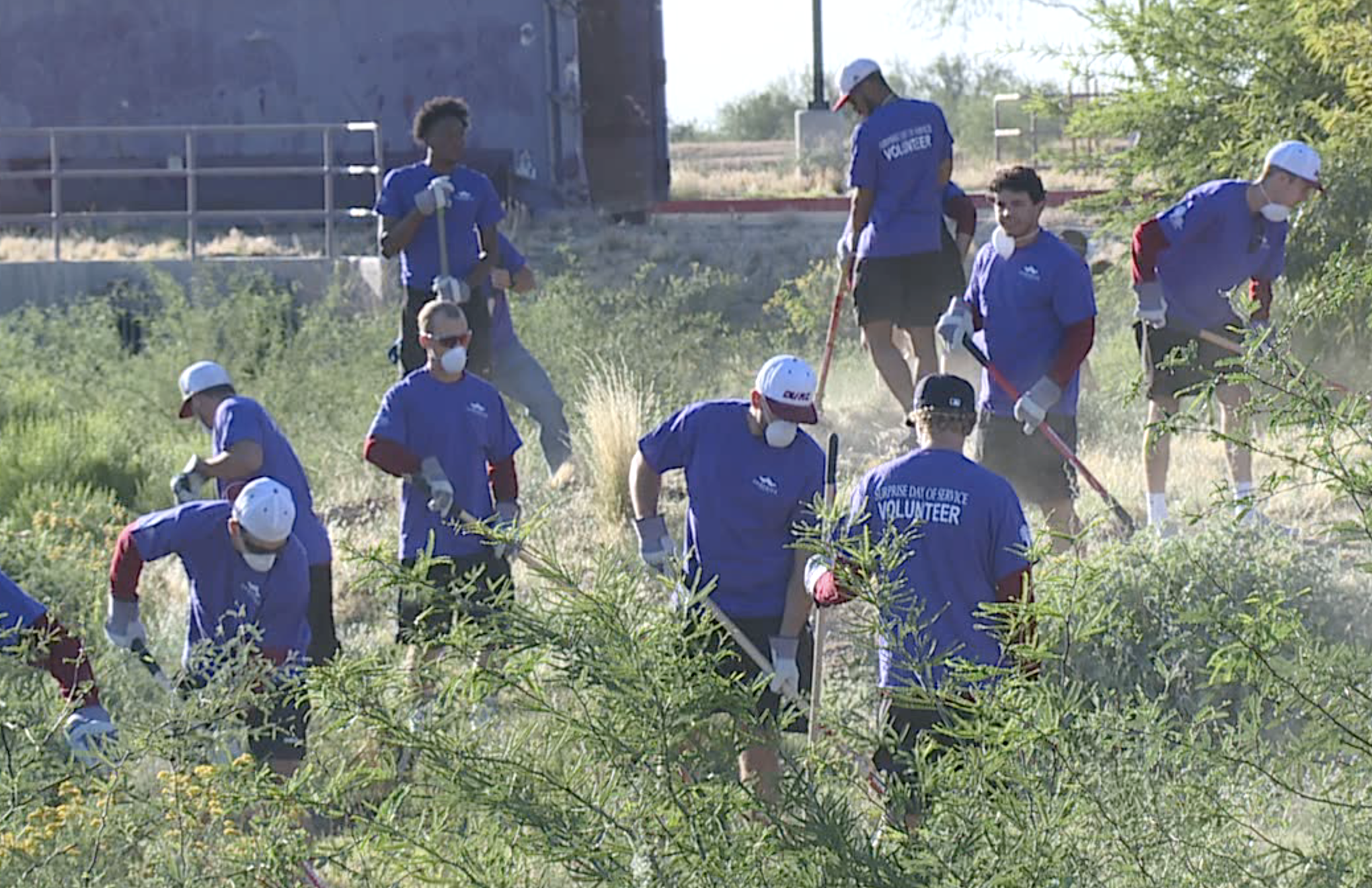 Day of Service in Surprise