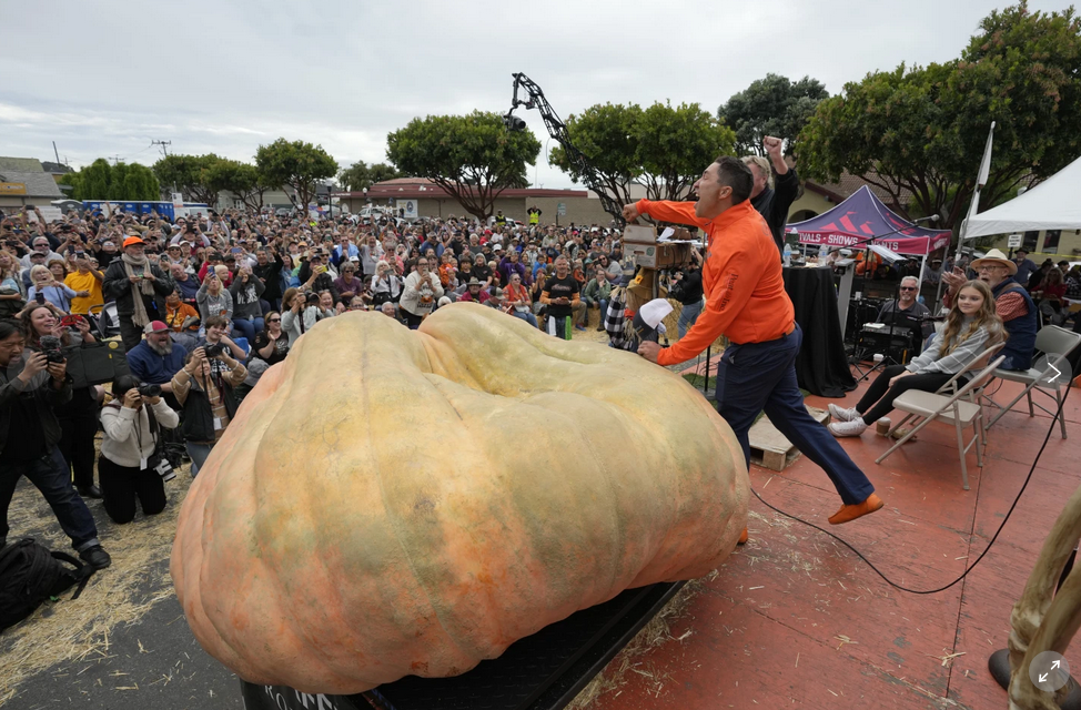 Pumpkin.png