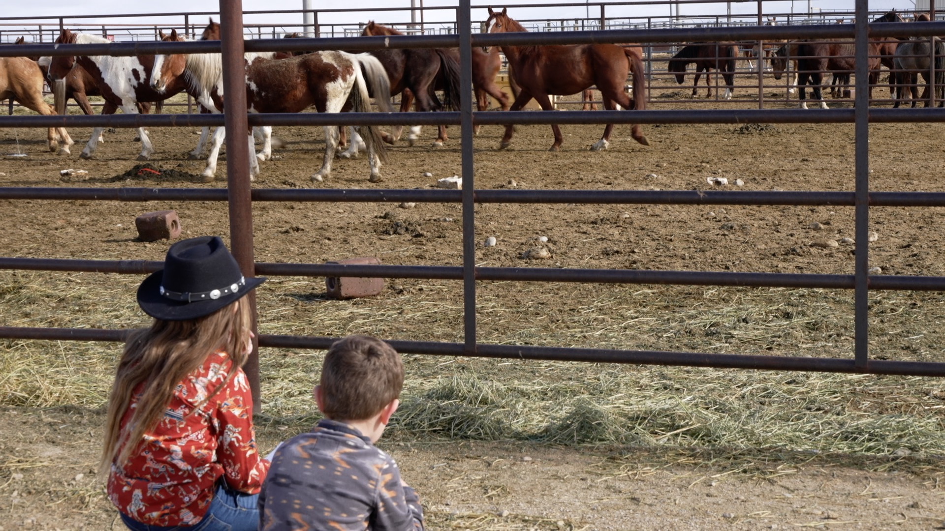 POST FIRES HORSE ROUNDUP PKG 1.jpg