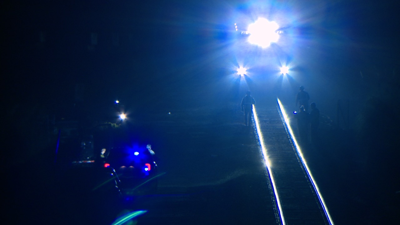 Pedestrian killed by coastal train