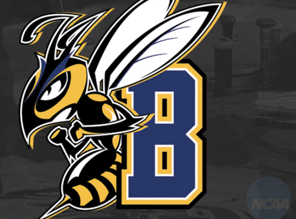 MSUB Logo.png