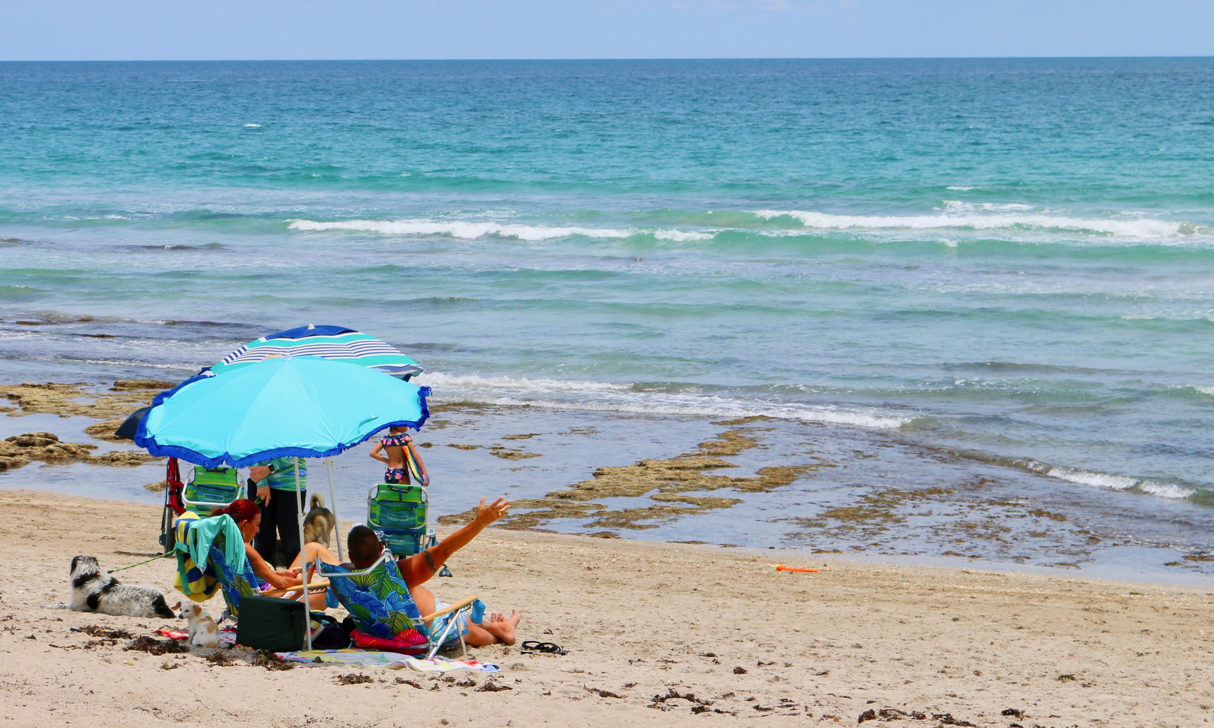 This beach has gone to the dogs! This off-leash dog park was established on 24 acres of beach property so canines can romp in the sand and surf.