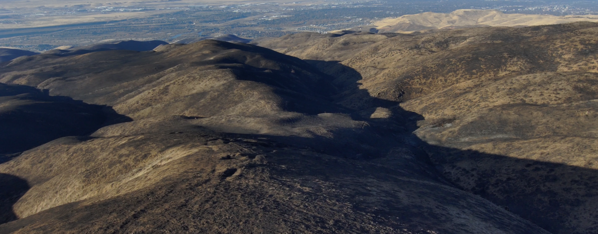 brwma_2024_valley_fire_overhead.png