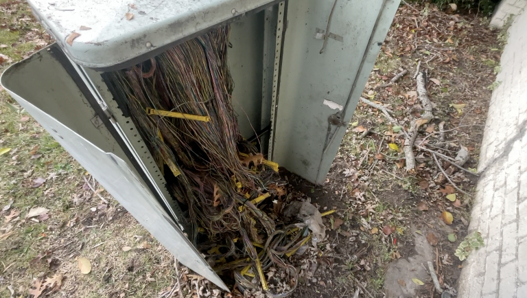 Screenshot 2025-12-11 at 1.46.40 PM.png