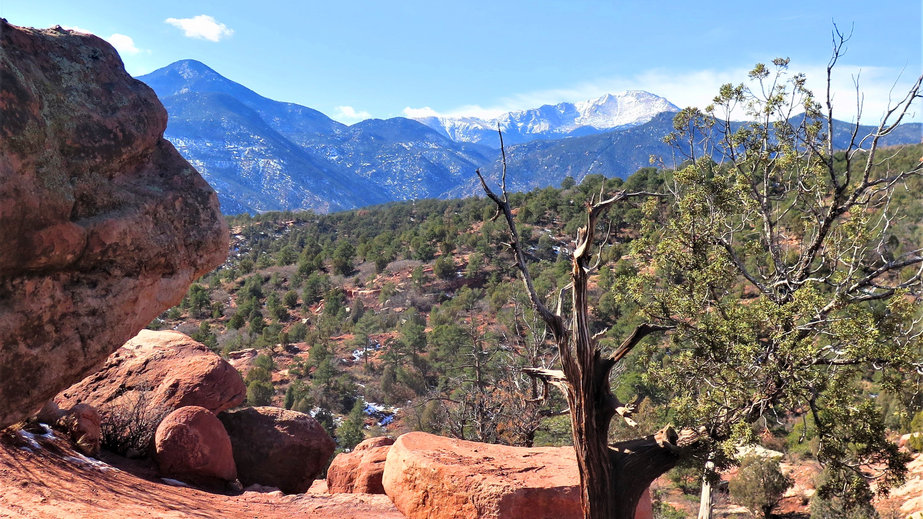 Bonnie Sumner Garden of the Gods
