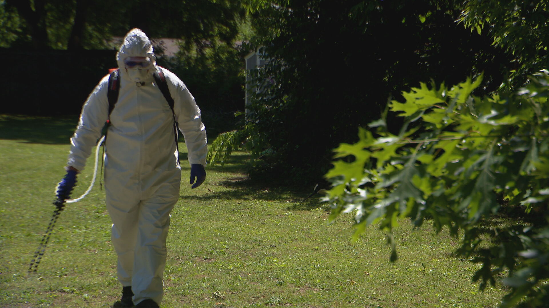 Spraying for Ticks