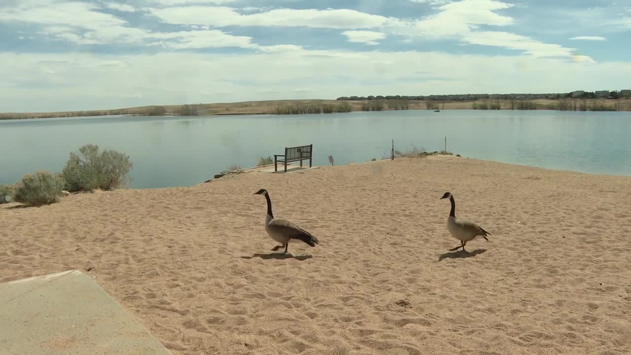 Poster image - 2026-03-30T215041.667.jpg