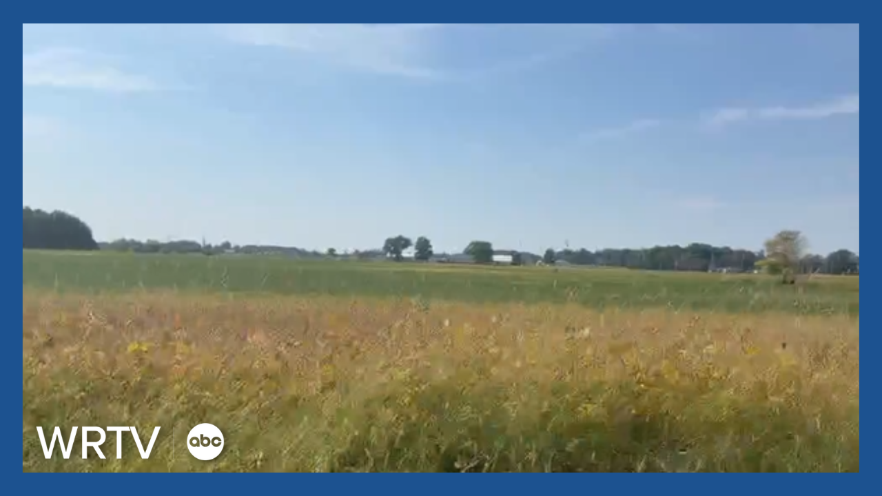 YOUTUBE FRAME (4).png