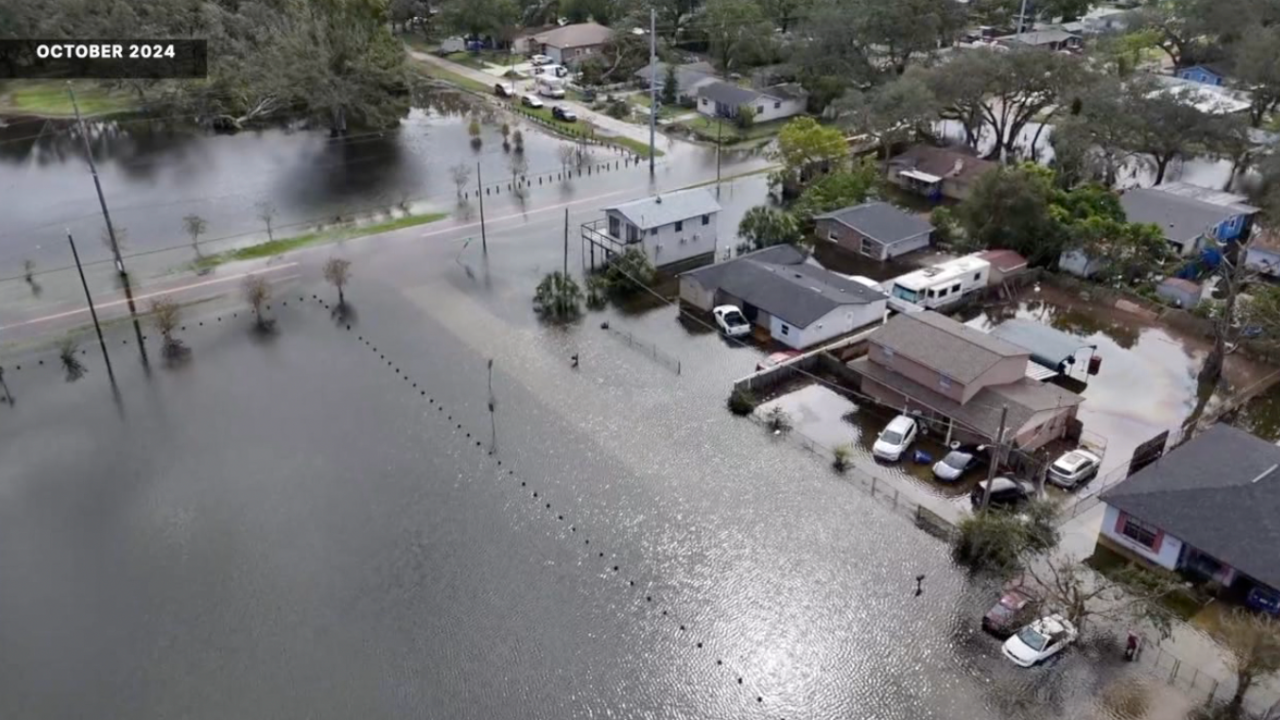 hurricane assistance program Tampa