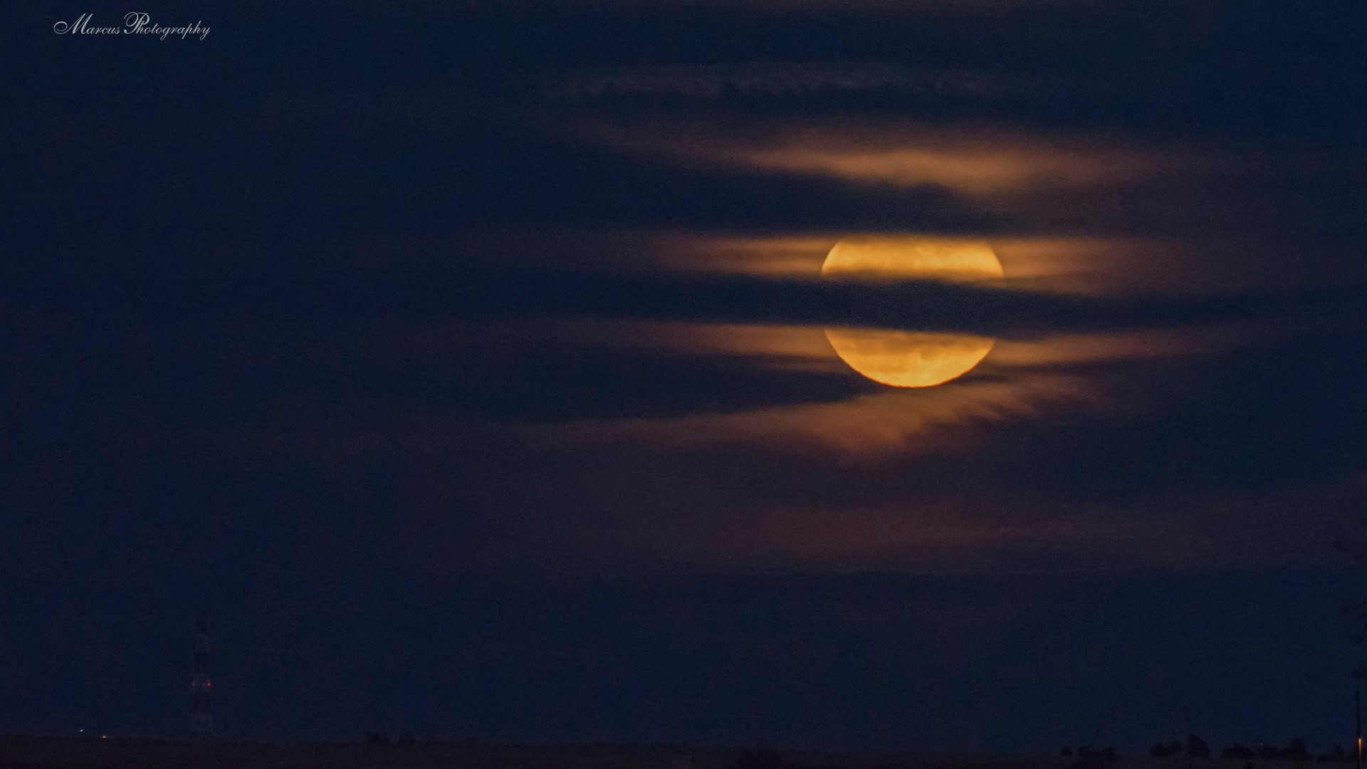 Kara Marcus Worm Moon.jpg