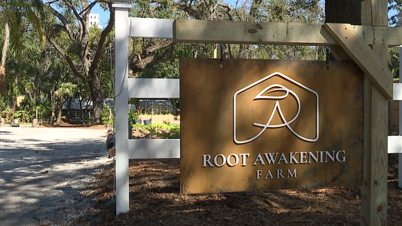 Root Awakening Farm