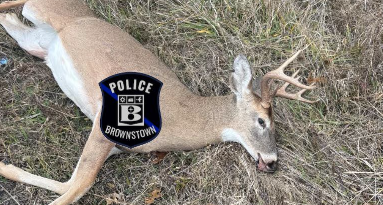 Screenshot 2025-11-17 at 11.59.56 AM.png