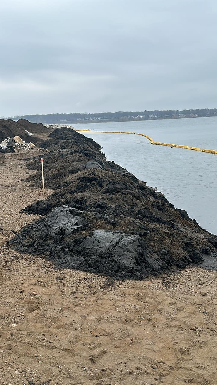 Wetland dredging Adelaide Pointe.jpg