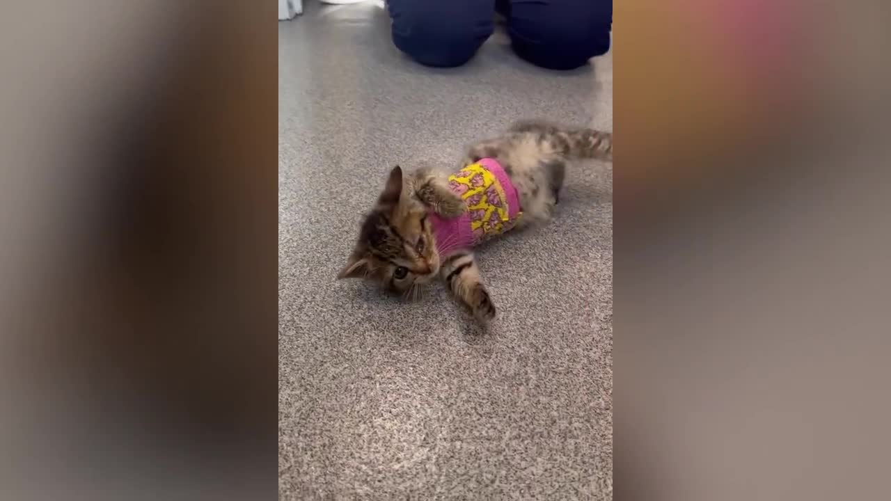 Poster image - 2025-11-25T135652.845.jpg