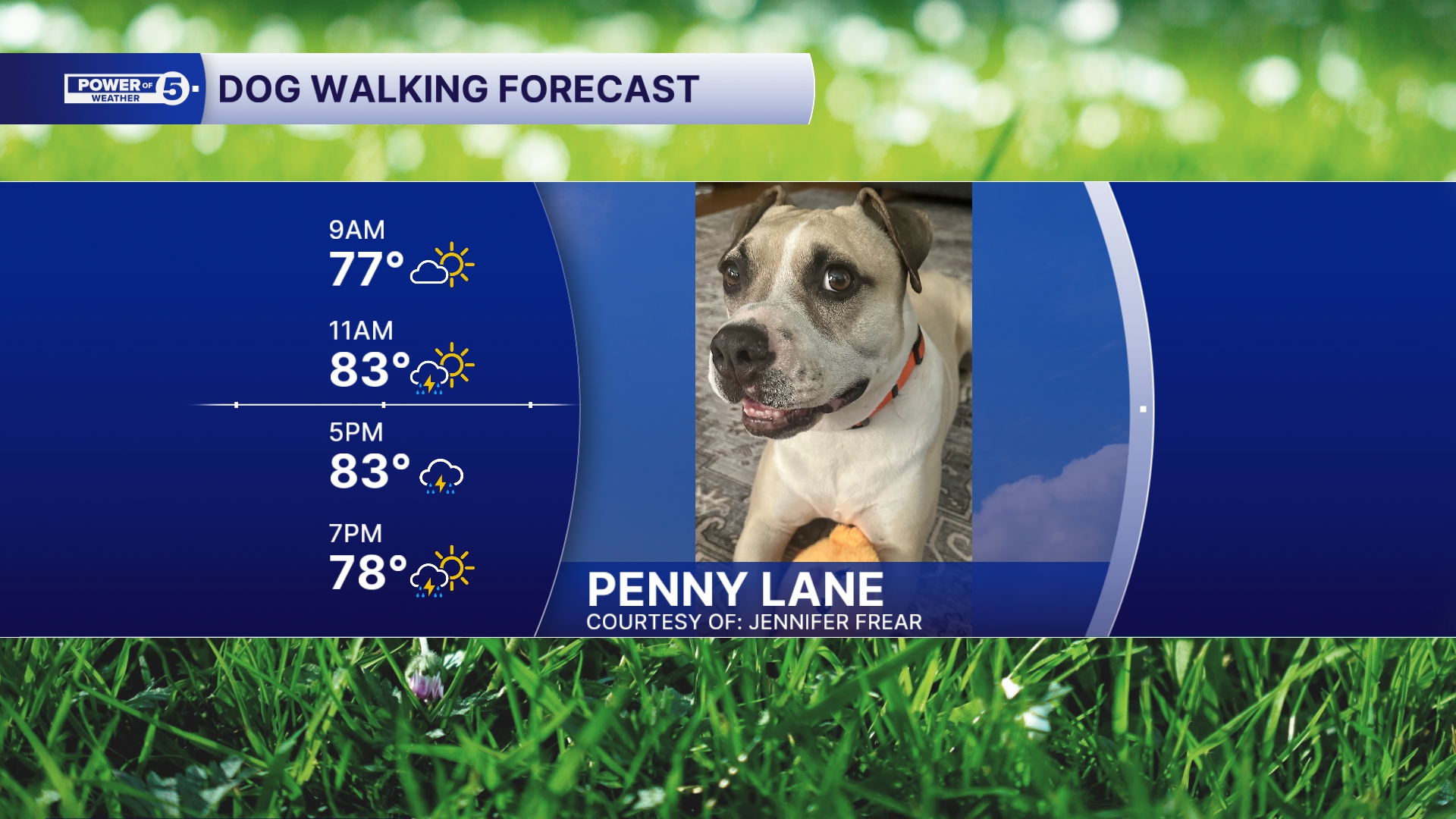 Penny Lane