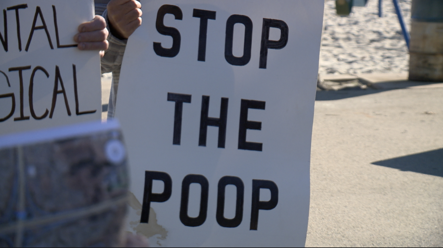 stop the poop.jpg