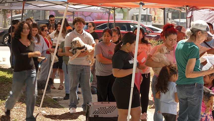 spayathon C.A.R.E.4Paws