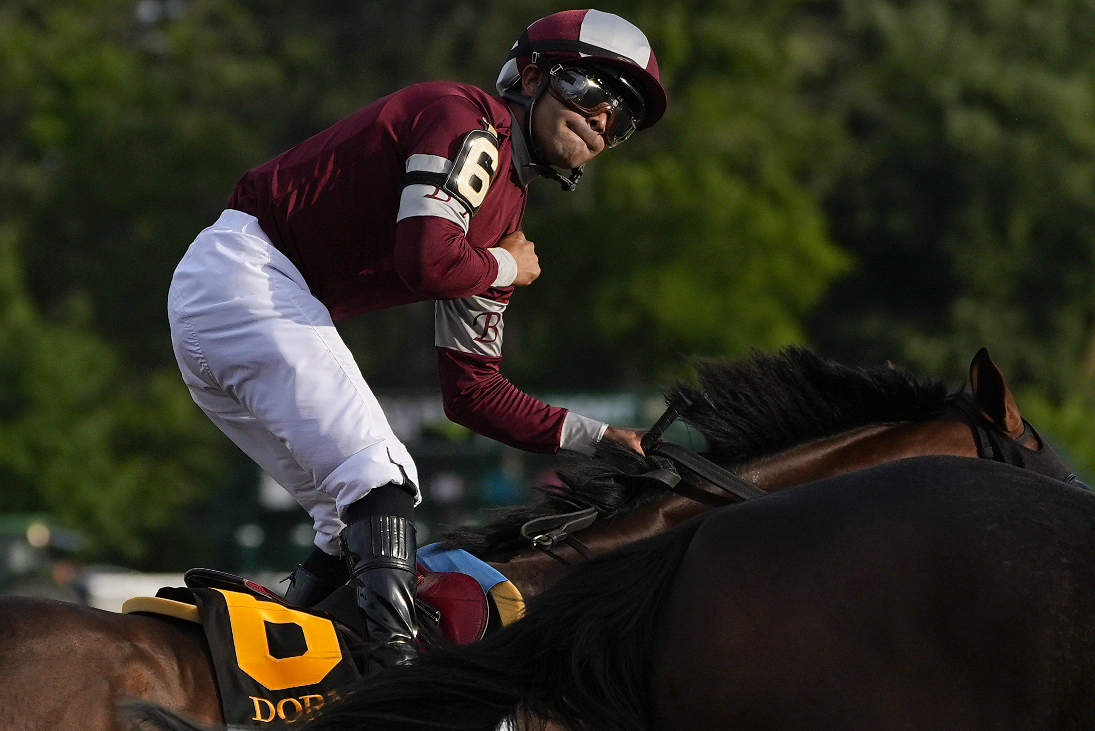 Belmont Stakes Horse Racing