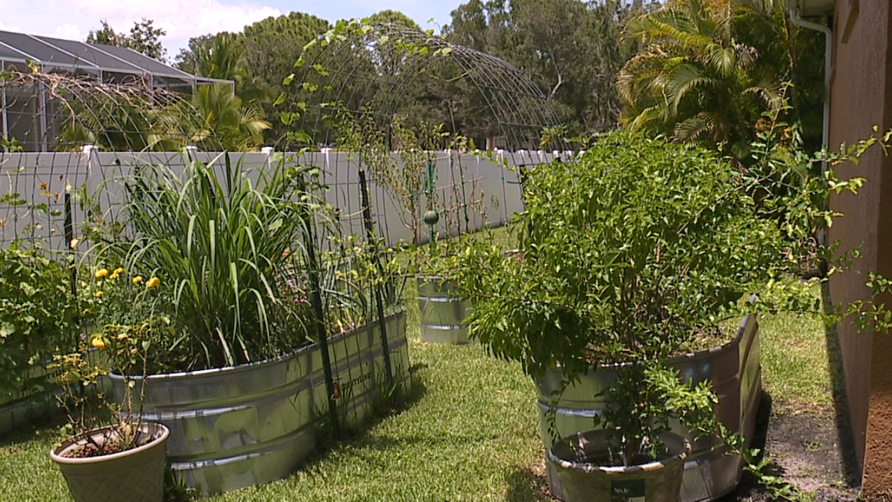 home garden generic WFTS.png