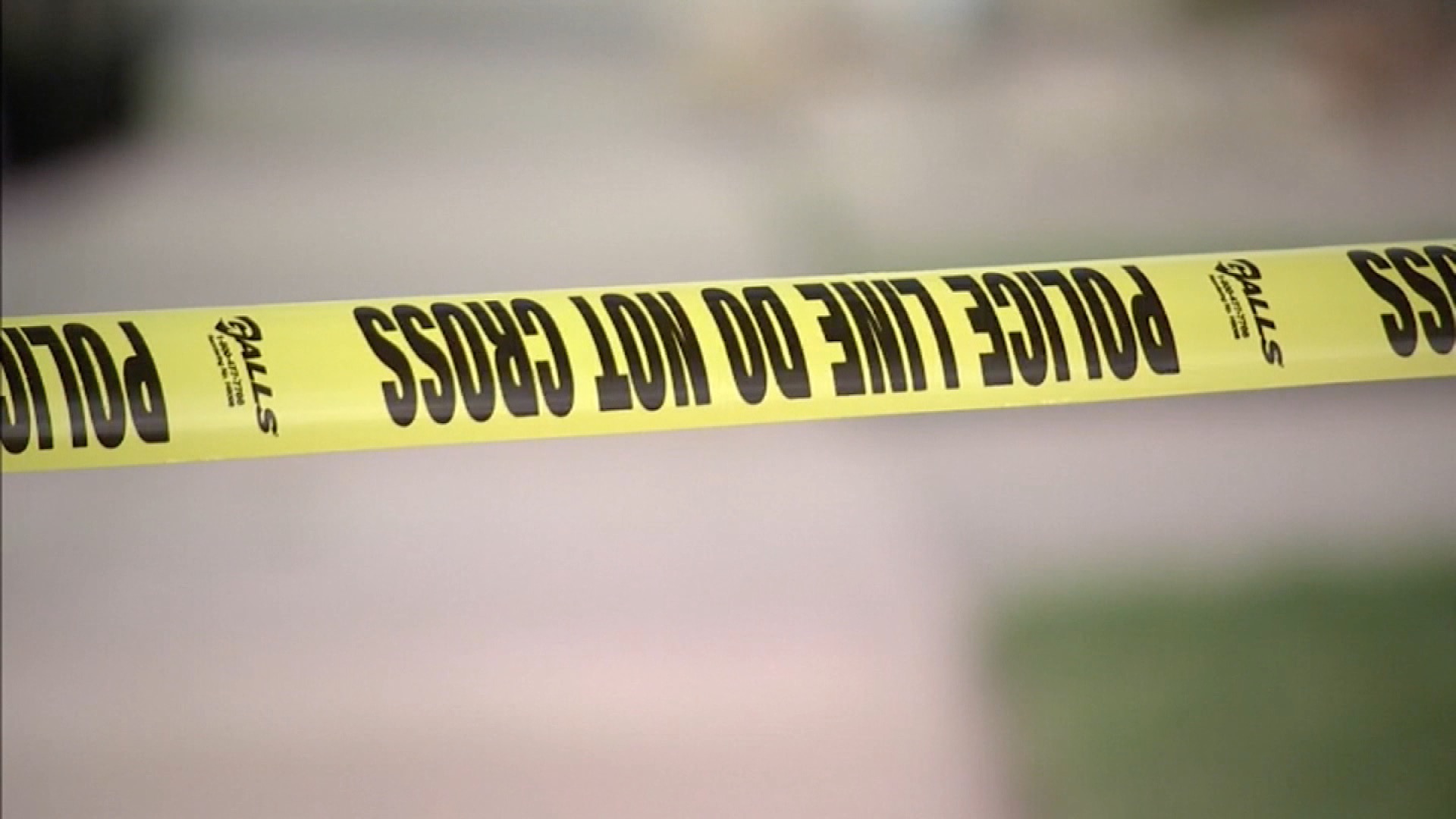 Domestic Violence Fatality report