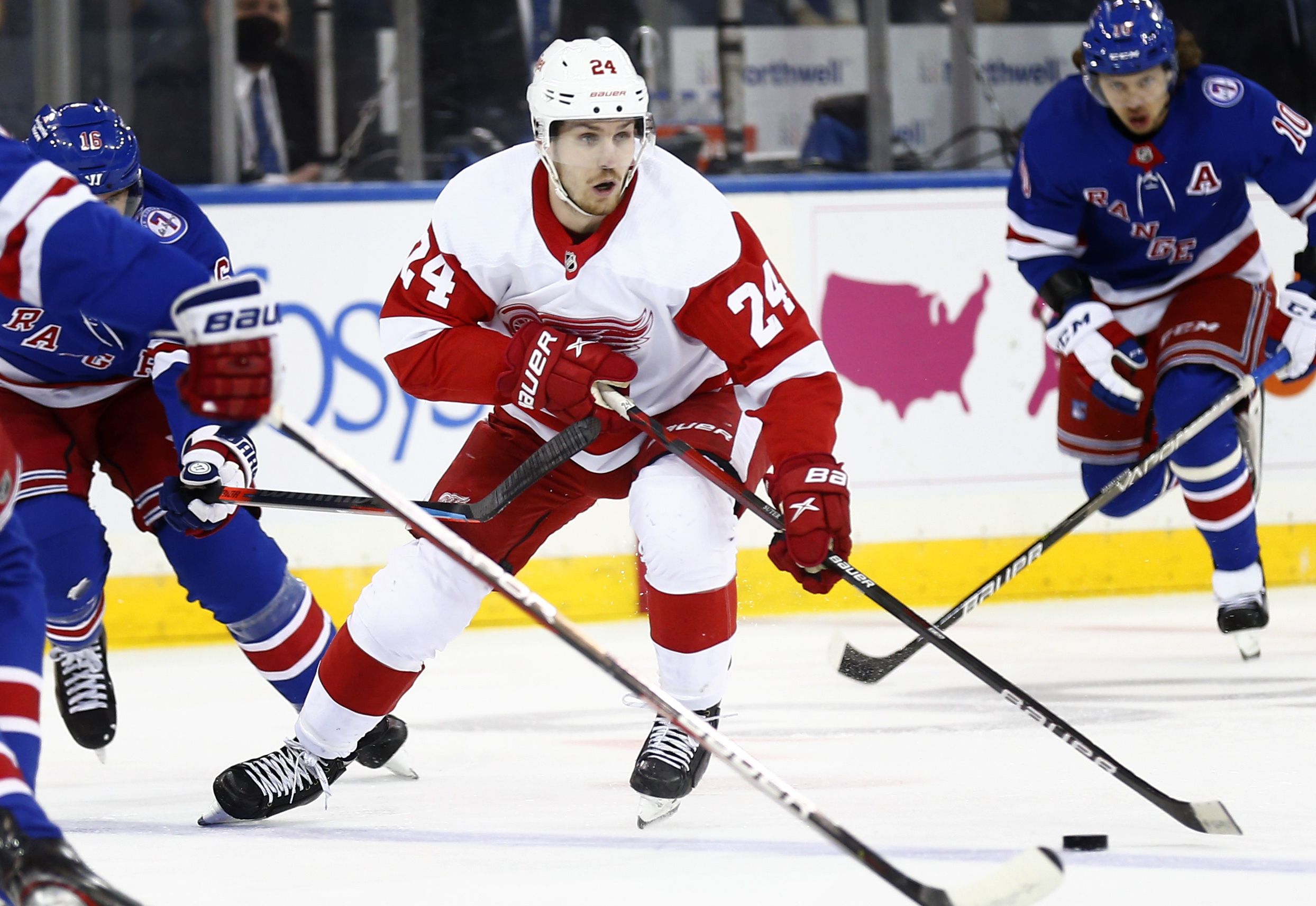 Pius Suter Red Wings Rangers Hockey