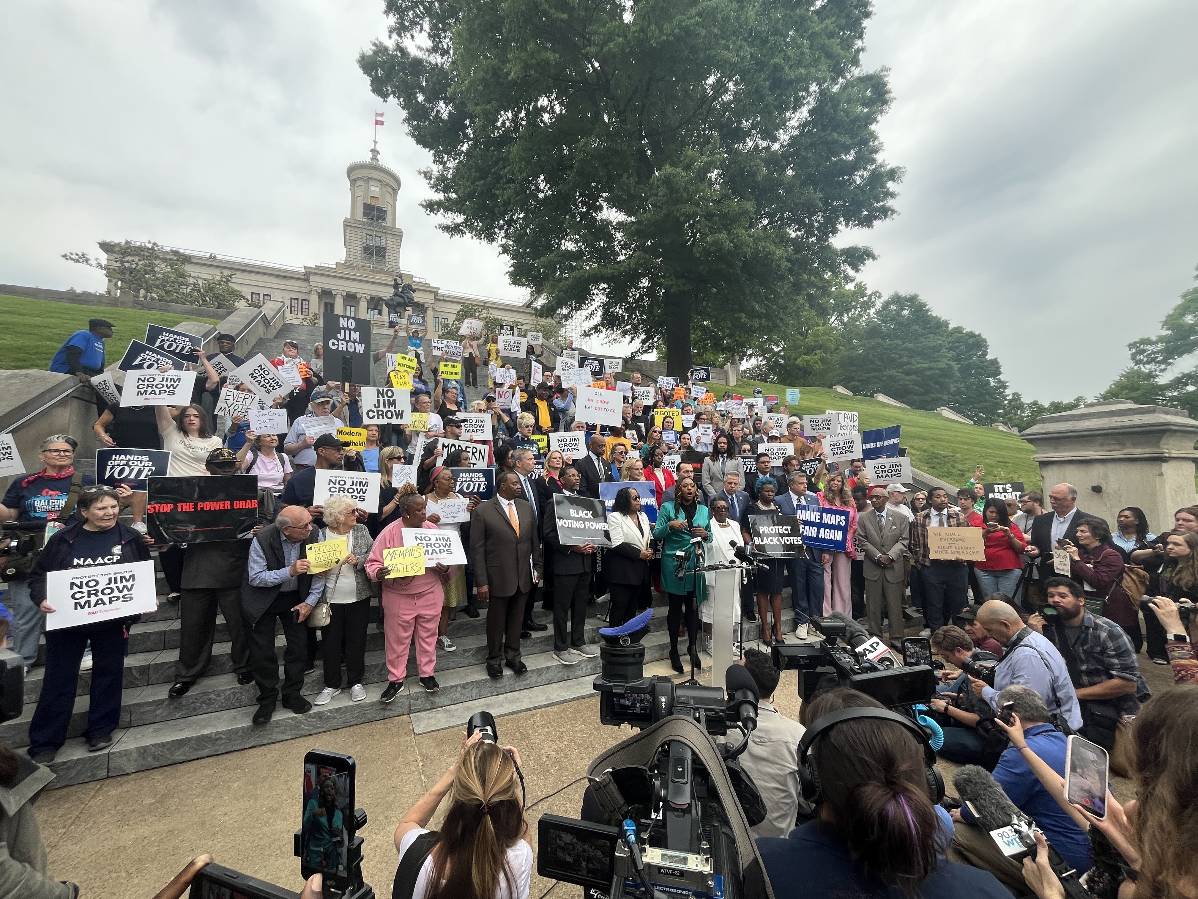 Redistricting Protesters