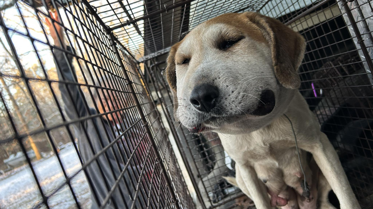 taylor thumbnails - 2026-01-19T163848.297.png