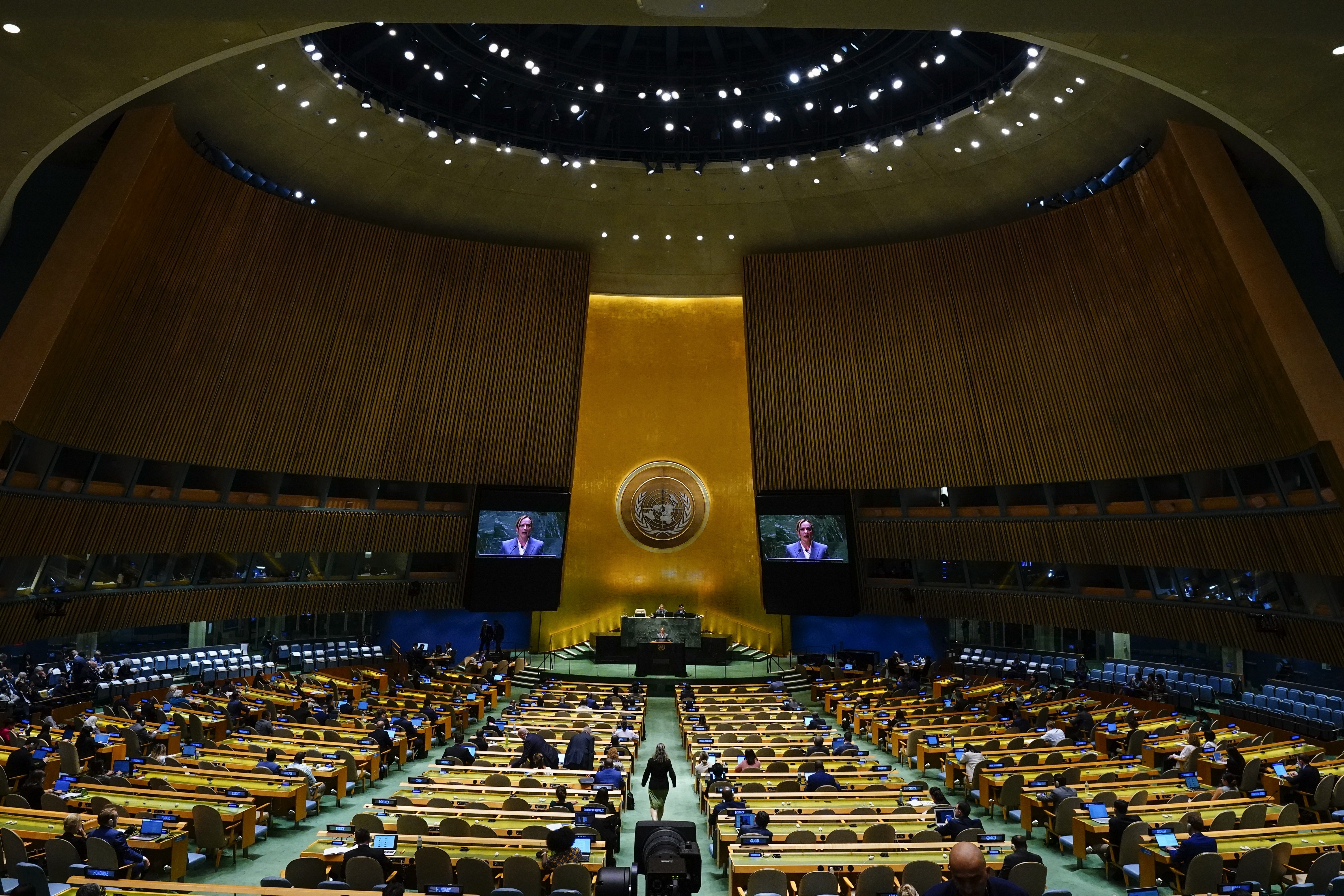 UN General Assembly